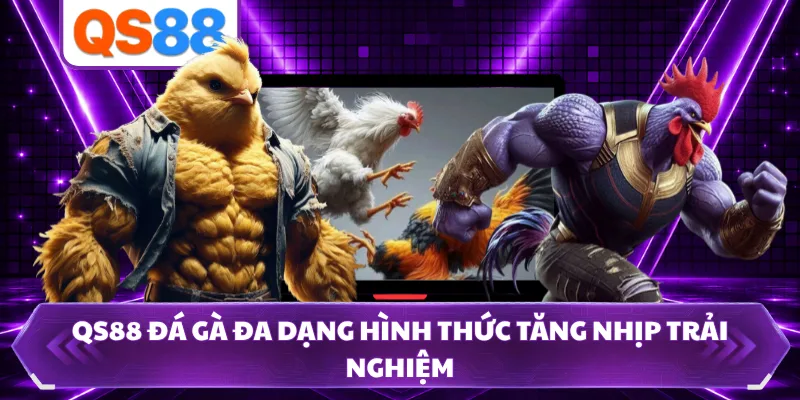 QS88 đá gà đa dạng hình thức tăng nhịp trải nghiệm